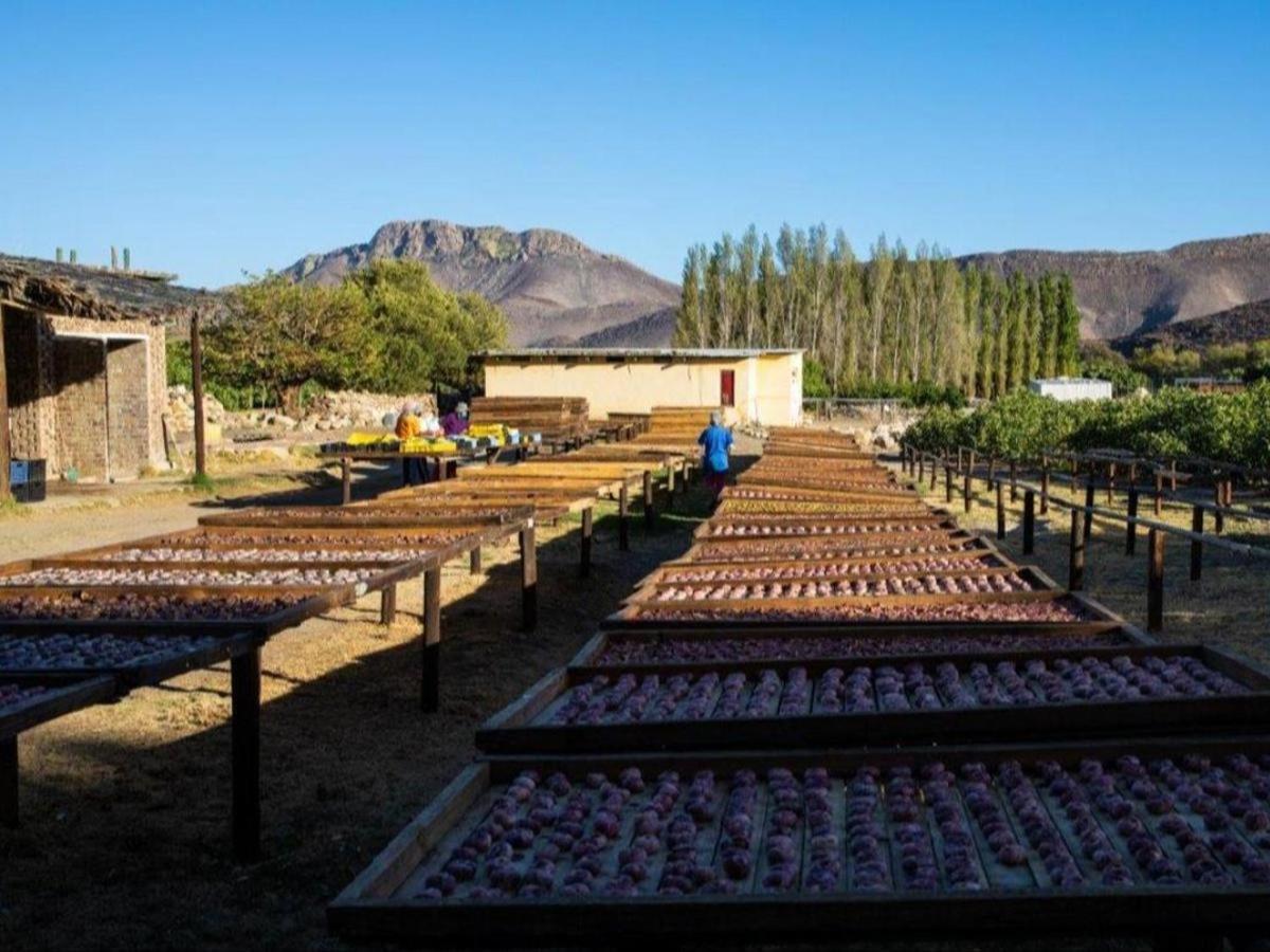 Weltevrede Fig Farm Διαμέρισμα Prince Albert Εξωτερικό φωτογραφία