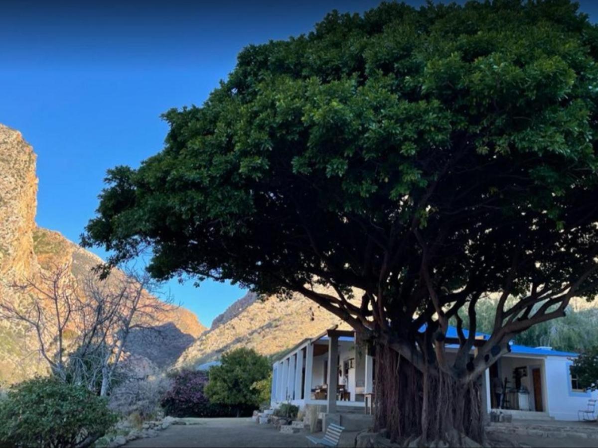 Weltevrede Fig Farm Διαμέρισμα Prince Albert Εξωτερικό φωτογραφία