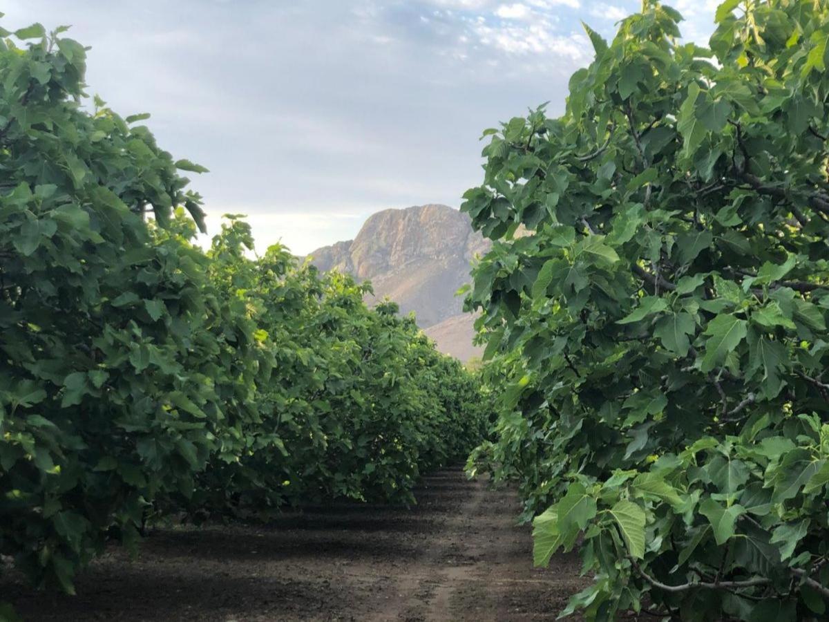 Weltevrede Fig Farm Διαμέρισμα Prince Albert Εξωτερικό φωτογραφία