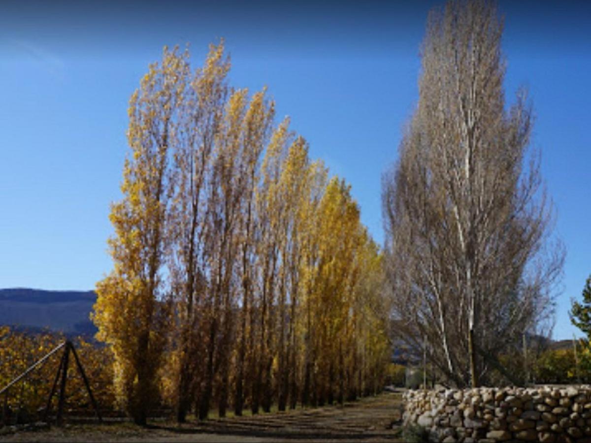 Weltevrede Fig Farm Διαμέρισμα Prince Albert Εξωτερικό φωτογραφία